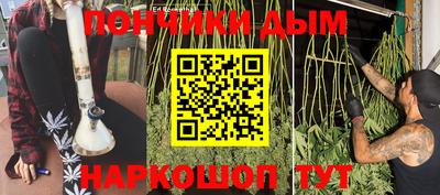 дмт Камышлов