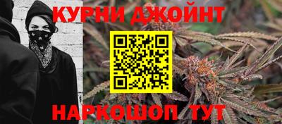 дмт Камышлов