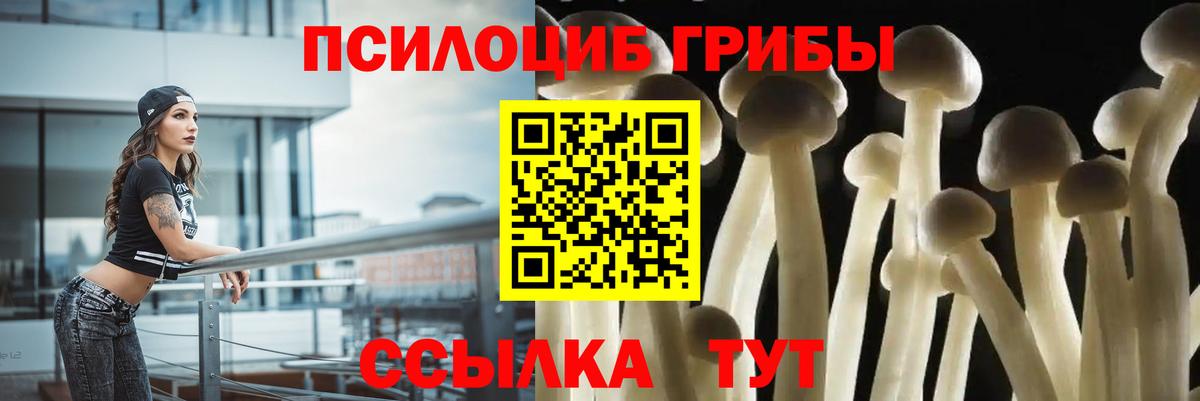 Псилоцибиновые грибы MAGIC MUSHROOMS Щёлково